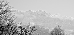 Kaisergebirge mit Nebel