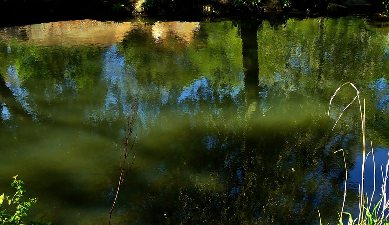 Reflections