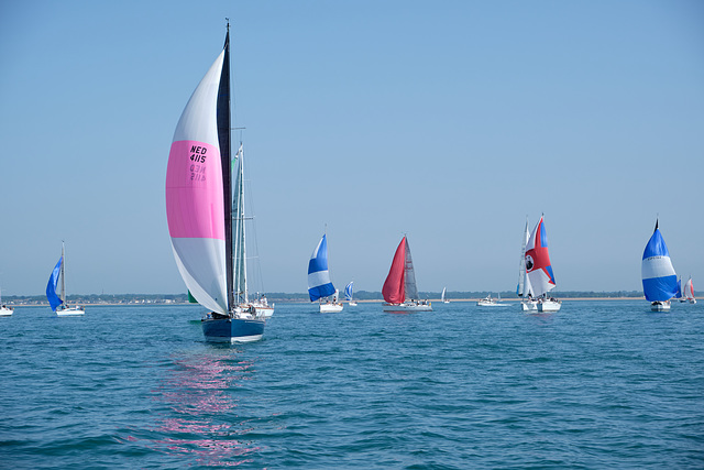 Round The Island Race 2019 (1)