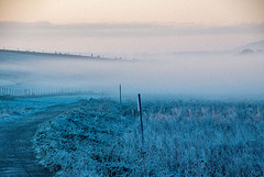 Landscape images from a walk this morning
