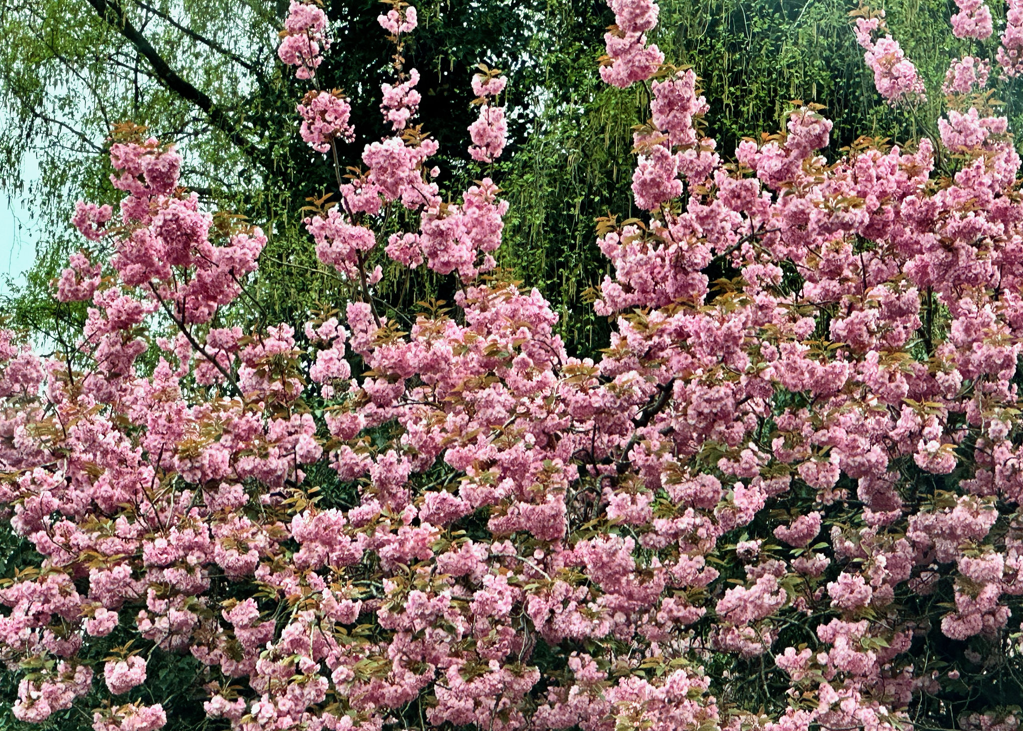 Frühlingsfarben