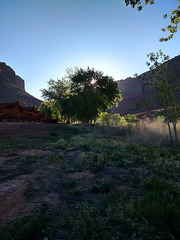Sunset and Tree, Utah