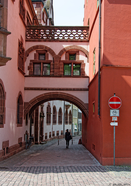 Freiburg im Breisgau (© Buelipix)