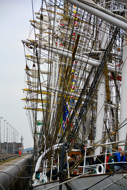 Sail 2015 – Masts