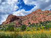 Cave Creek Canyon