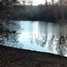 Etang de Sologne aux premiers frimas.