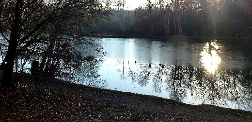 Etang de Sologne aux premiers frimas.