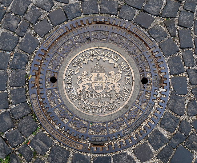 Magnificent Magyar Manhole Cover