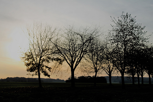 ombre et lumière