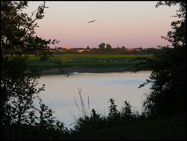 evening view from the river