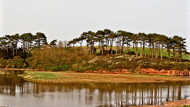 River Otter Estuary