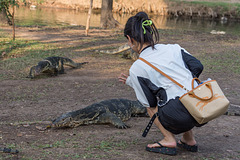 Bindenwarane und Touristen im Lumphini Park ... P.i.P. (© Buelipix) Bindenwarane und Touristen im Lumphini Park ... P.i.P. (© Buelipix)