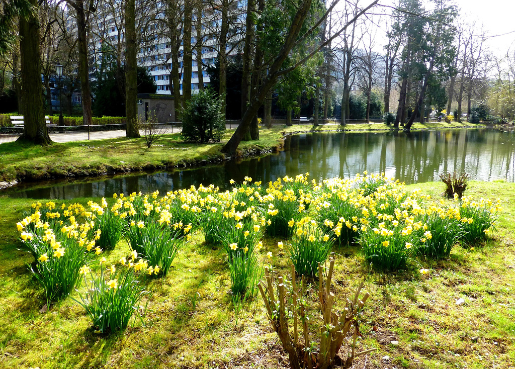 DE - Bad Neuenahr - Kaiser-Wilhelm-Park