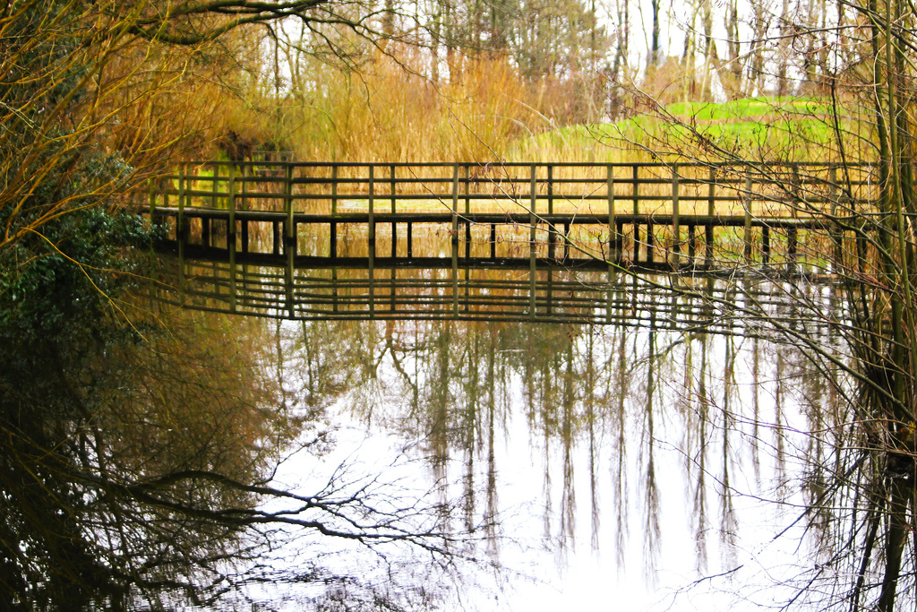 Parc de Gand Ville en Belgique