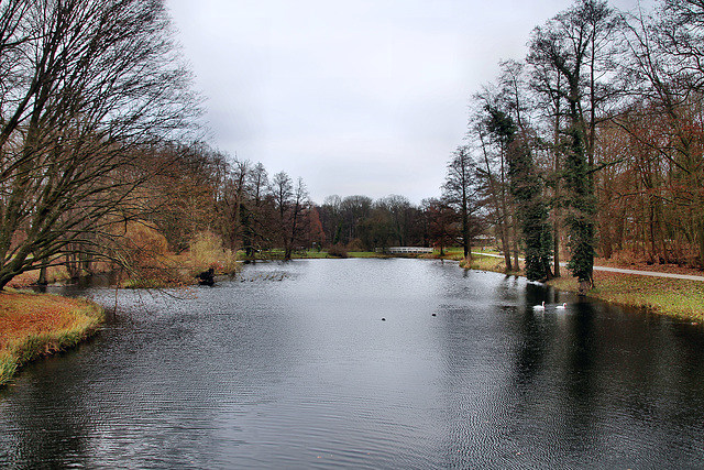 Teich im Kurpark Hamm / 16.12.2023