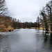 Teich im Kurpark Hamm / 16.12.2023