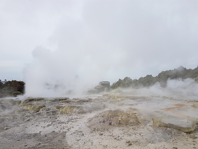 Neuseeland - Rotorua - Te Puia