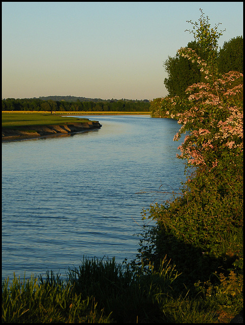 June evening by the Thames