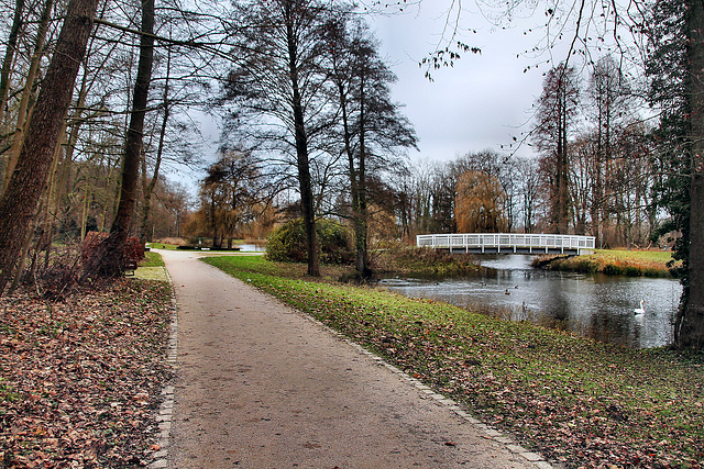 Weg am Teich (Kurpark Hamm) / 16.12.2023