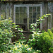 Mossy roof, broken window and yellow trillium