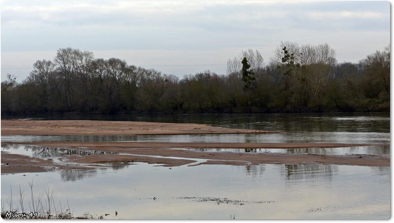 SAINTE GEMMES sur LOIRE