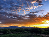 The Huachuca Mountains