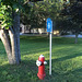 Sussex's red hydrant / Borne-fontaine rouge de Sussex