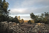 Penedos, crumbling dry stone walls, HWW