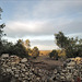 Penedos, crumbling dry stone walls, HWW