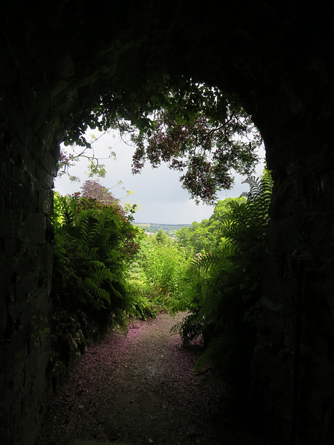 cotehele house, cornwall