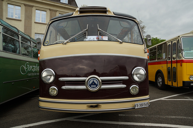 Omnibustreffen Sinsheim/Speyer 2017 516