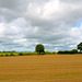 Gnosall fields