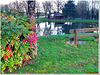 Winter bench at the village pond - HBM