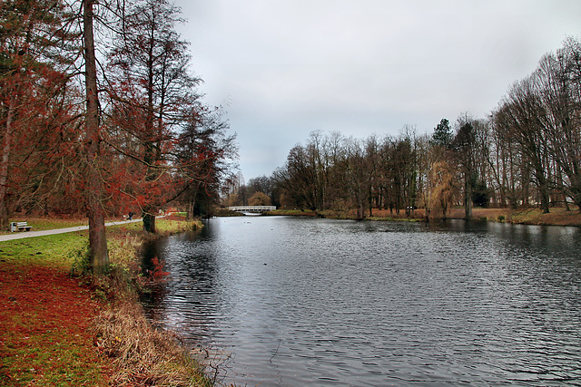 Teich im Kurpark Hamm / 16.12.2023