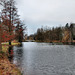 Teich im Kurpark Hamm / 16.12.2023