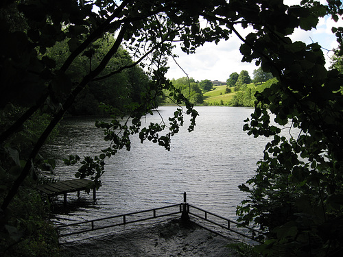 Looking over Lower Pool towards Willey Hall