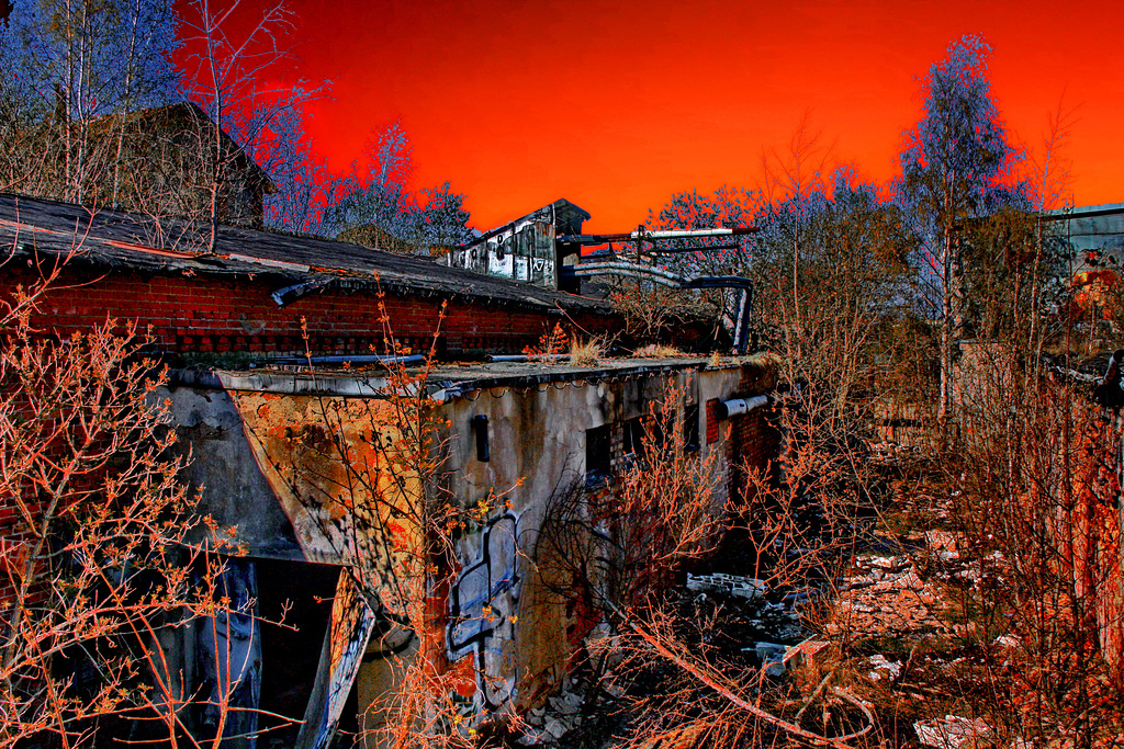 Brauerei-Ruine in Endzeitstimmung