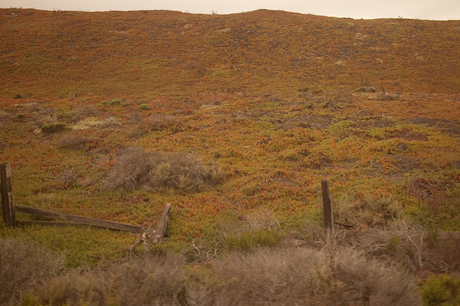 southern california hills with fence