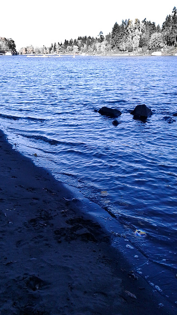 willamette river blue