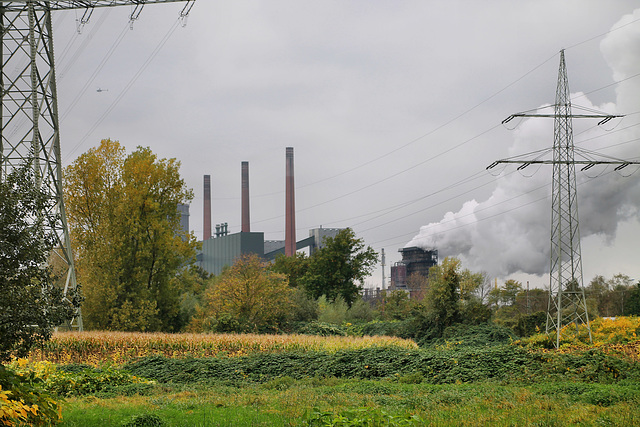 Blick vom Welheimer Mark auf die Kokerei Prosper (Bottrop-Welheim) / 20.10.2021