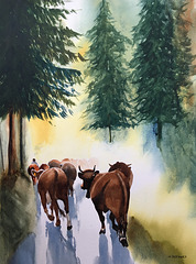Transhumance