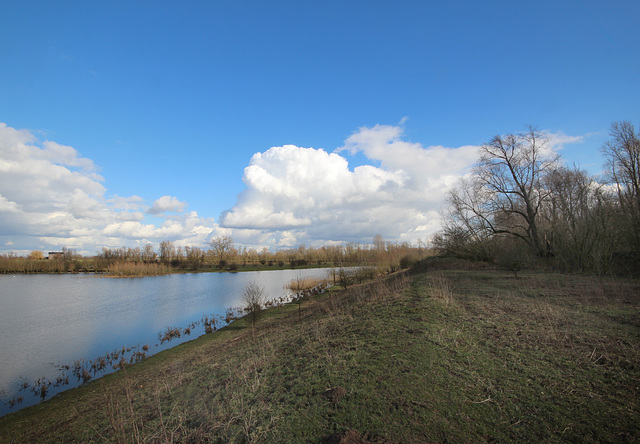 Blue skies