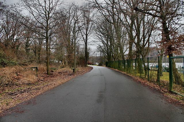 Hardenbergufer (Essen-Fischlaken) / 4.02.2017