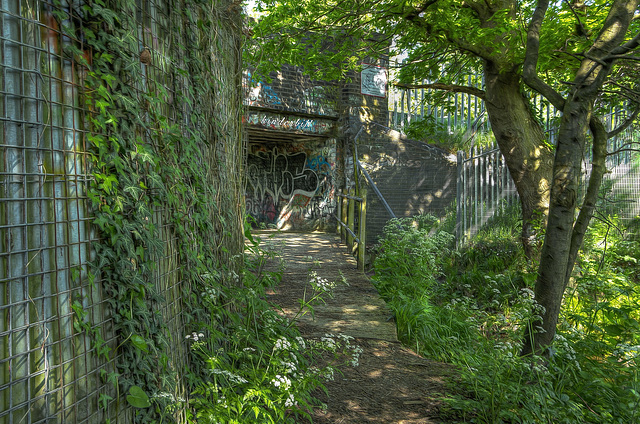 Hassenbrook Track   /   May 2018