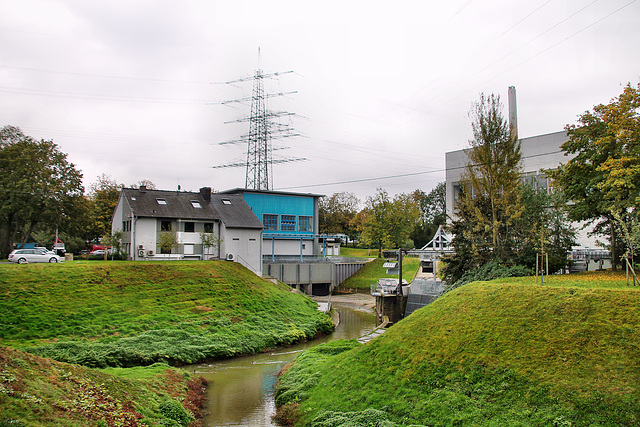 Die Boye kurz vor der Mündung (Bottrop-Welheim) / 20.10.2021