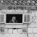 Hvar - fidèle à son le poste d'observation.....