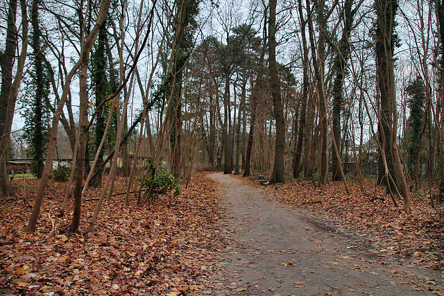 Weg im Kurpark Hamm / 16.12.2023