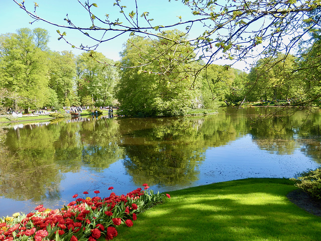 Across the lake