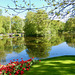 Across the lake