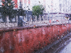 Journey in the Rain 10 Journey in the Rain 10